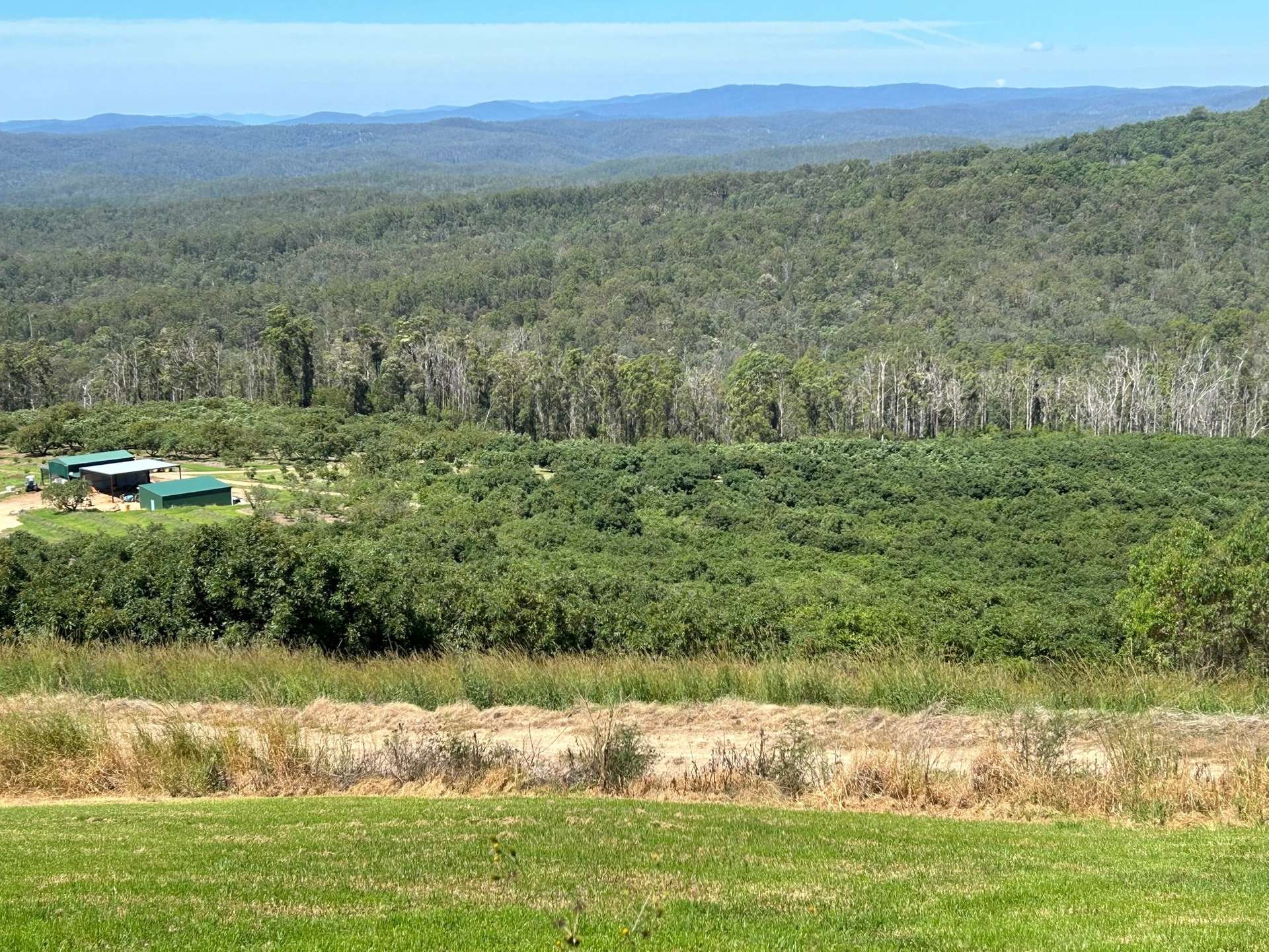158 Crescent Hills Road, Tabulam For Sale by Farmbuy.com - image 13