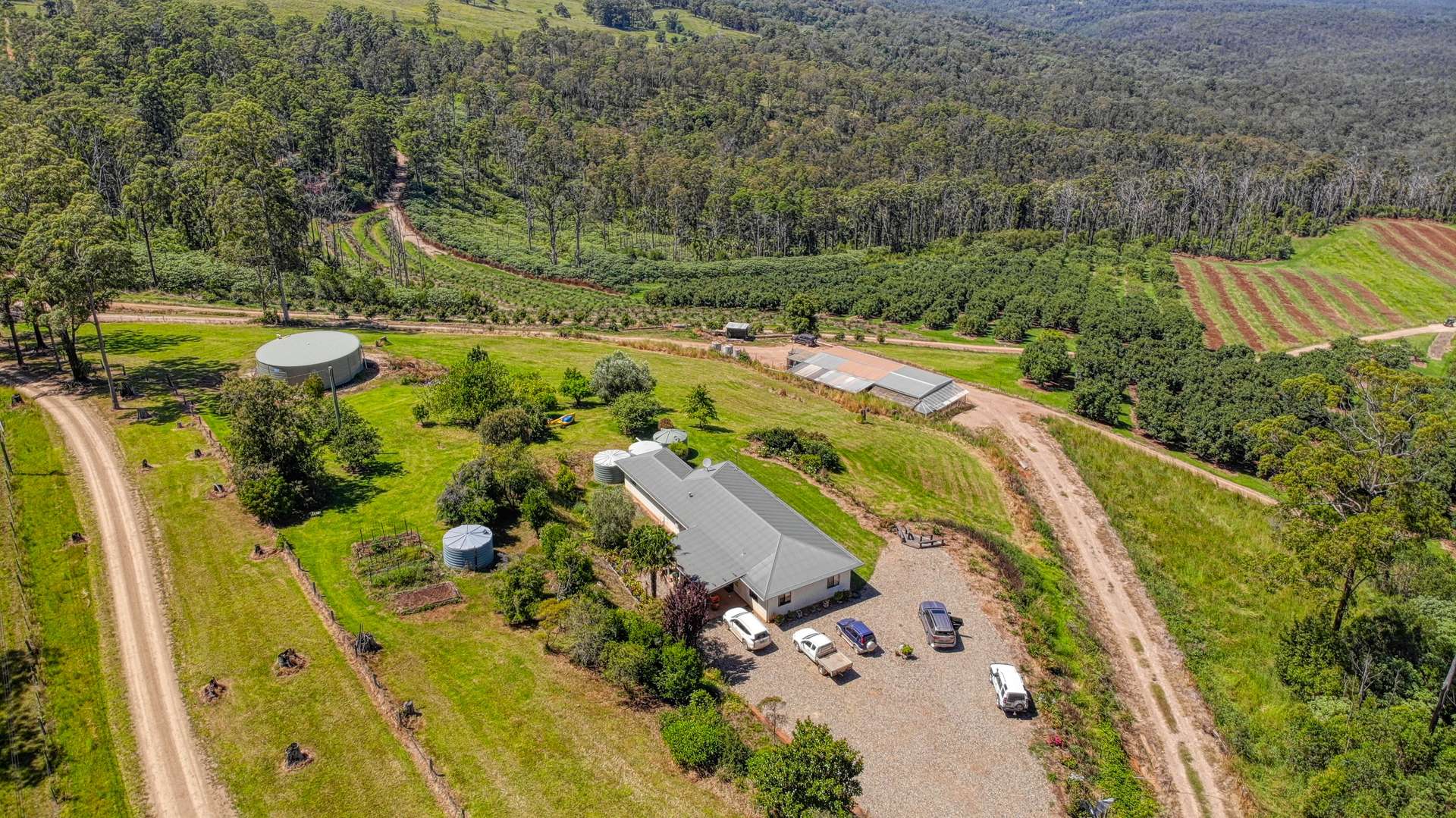 158 Crescent Hills Road, Tabulam For Sale by Farmbuy.com - image 12