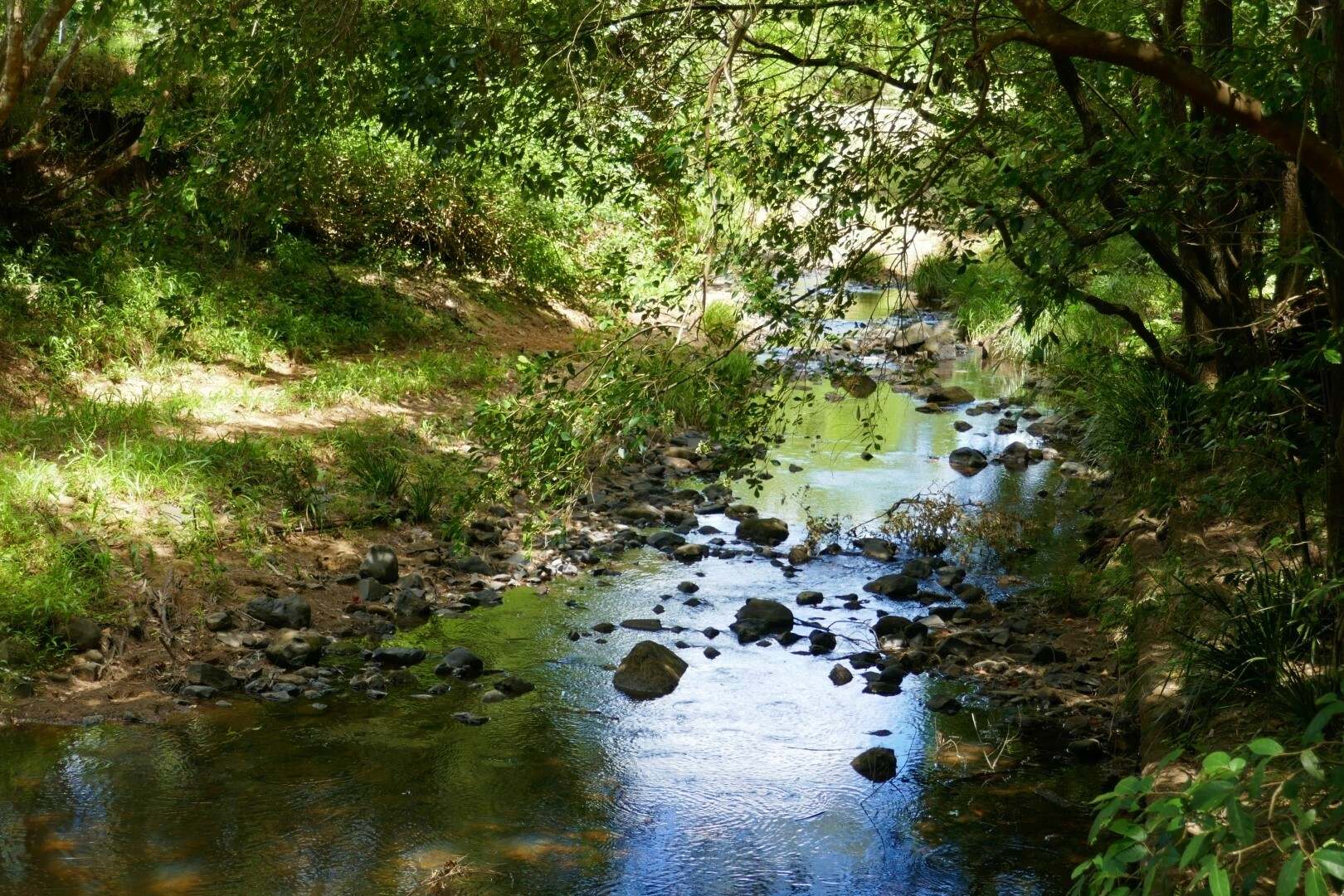 1810 Afterlee Rd, Kyogle For Sale by Farmbuy.com - image 9