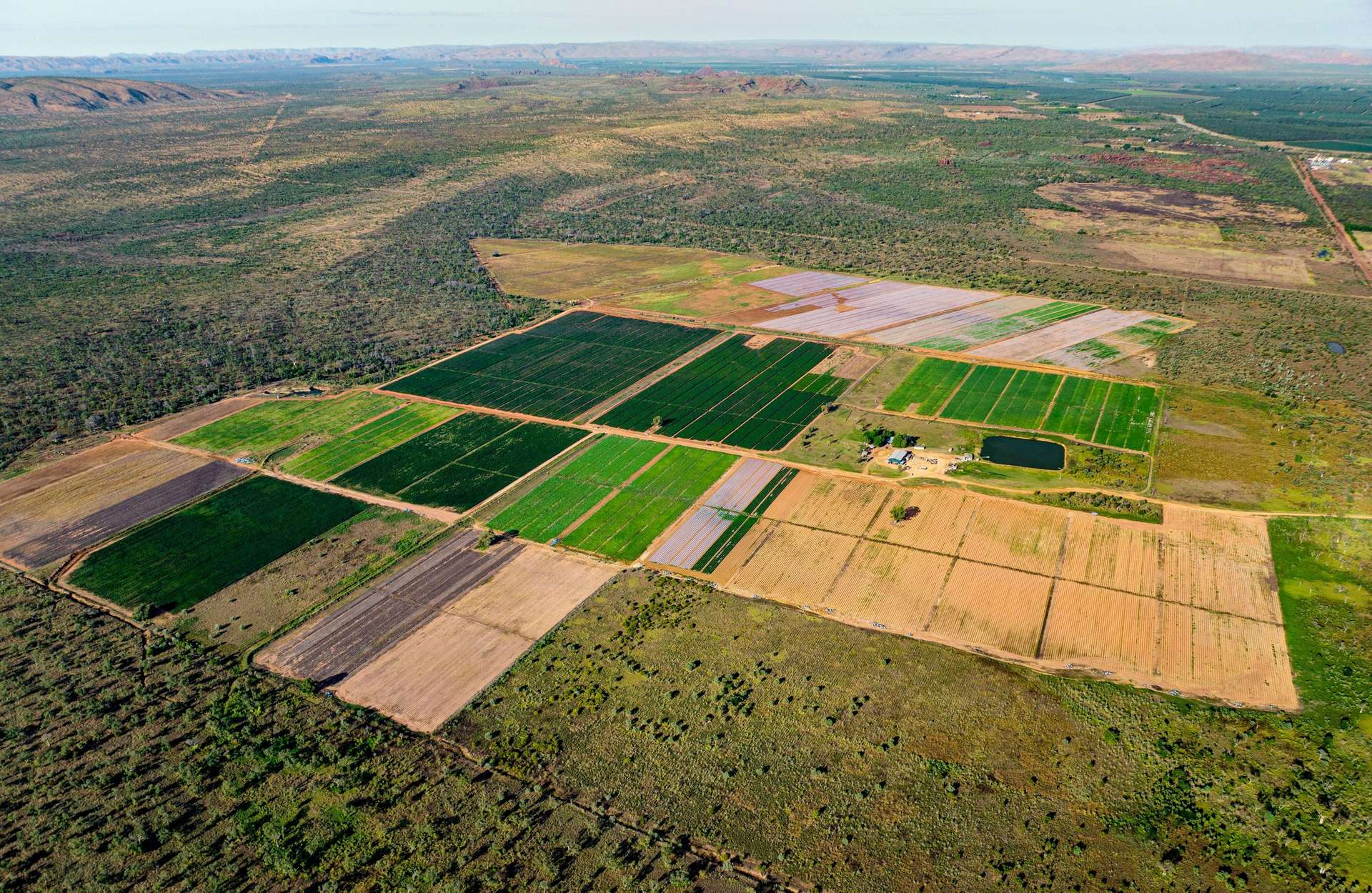 349 Mulligans Lagoon Rd, Kununurra For Sale by Farmbuy.com - image 26