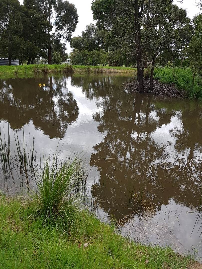 1620 Birregurra-Forrest Road, Barwon Downs Sold by Farmbuy.com - image 27