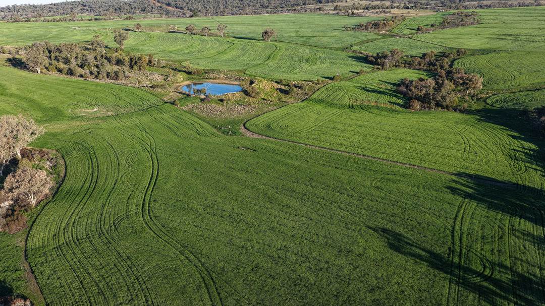 578 Innesvale Road, Warialda For Sale by Farmbuy.com - image 7