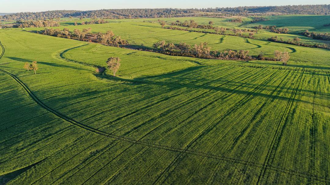 578 Innesvale Road, Warialda For Sale by Farmbuy.com - image 1