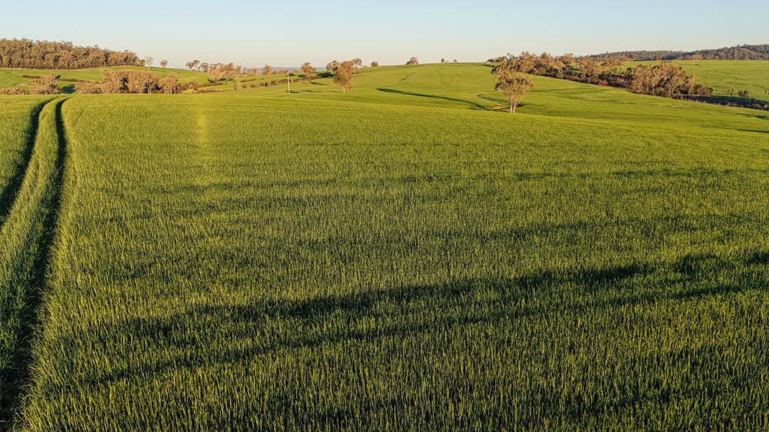 578 Innesvale Road, Warialda For Sale by Farmbuy.com - image 2