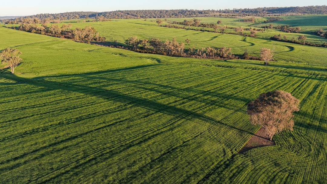 578 Innesvale Road, Warialda For Sale by Farmbuy.com - image 3