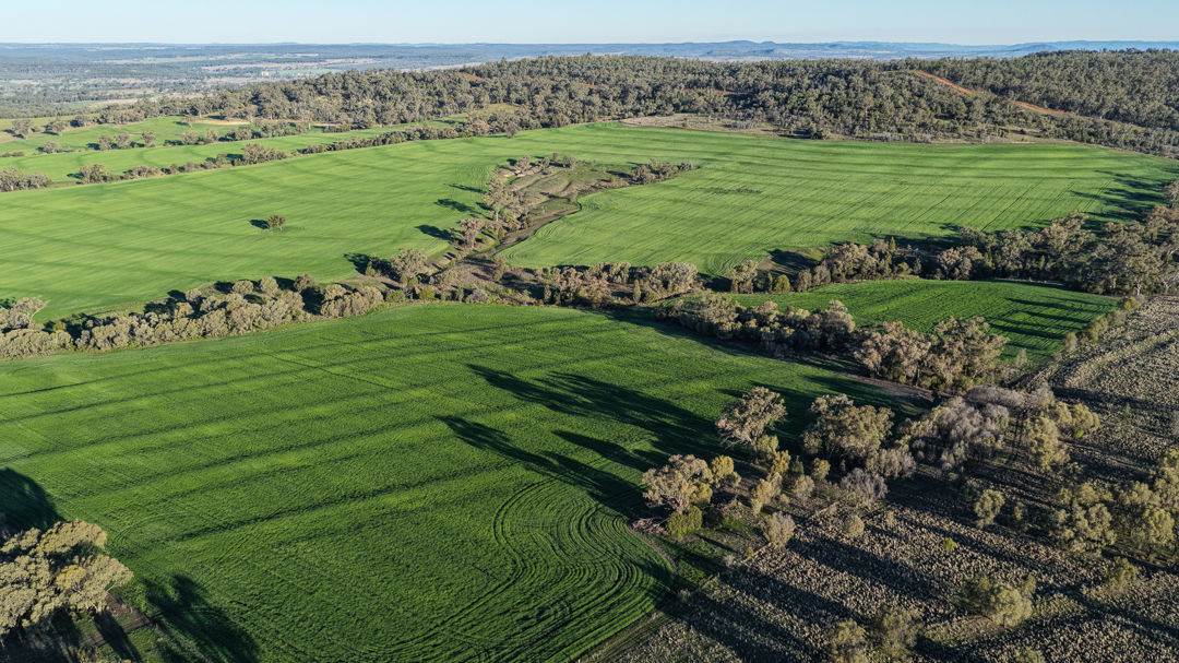 578 Innesvale Road, Warialda For Sale by Farmbuy.com - image 9
