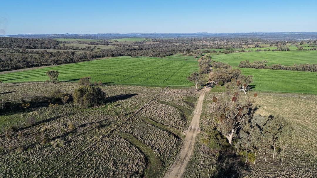578 Innesvale Road, Warialda For Sale by Farmbuy.com - image 11