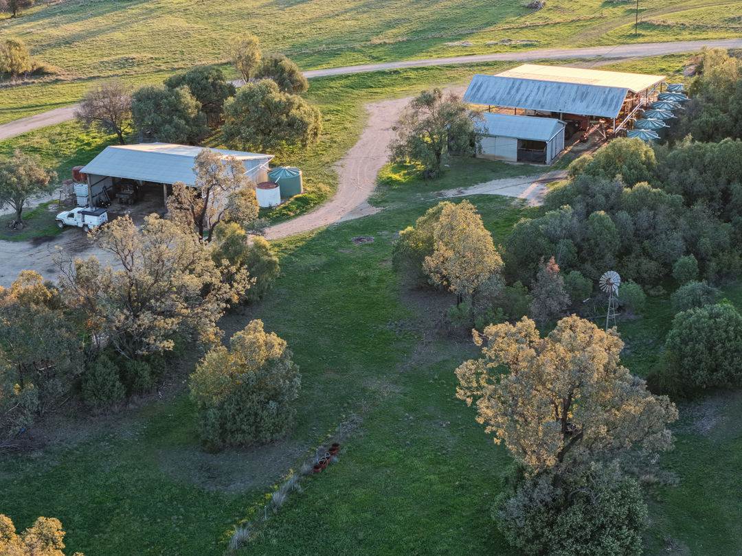 578 Innesvale Road, Warialda For Sale by Farmbuy.com - image 14