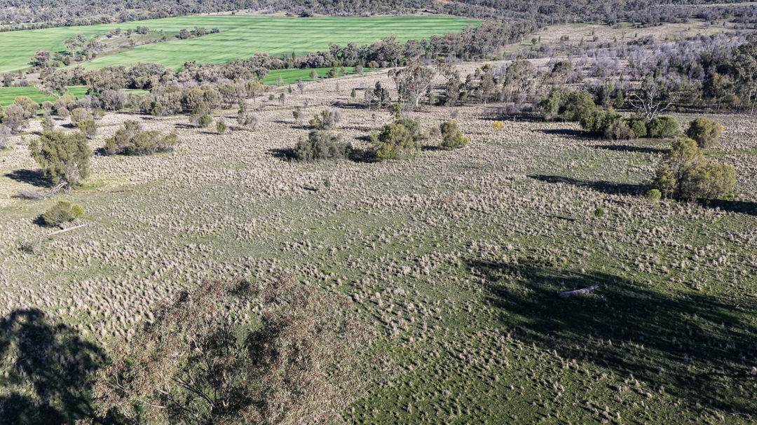 578 Innesvale Road, Warialda For Sale by Farmbuy.com - image 10