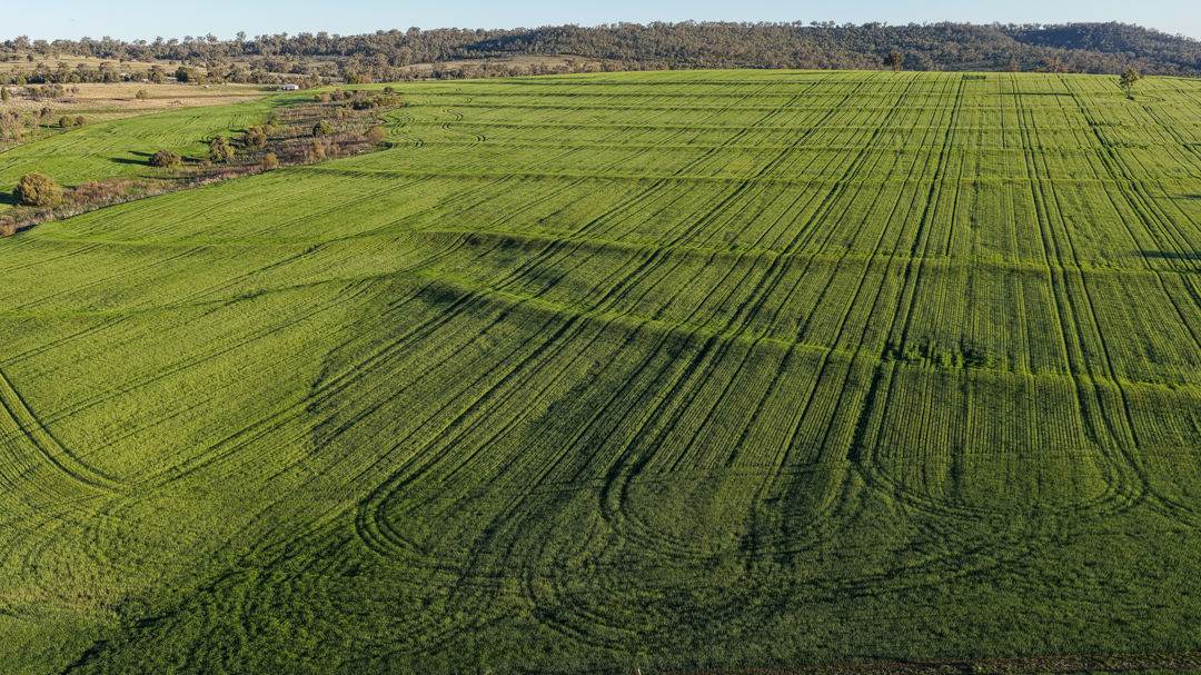 578 Innesvale Road, Warialda For Sale by Farmbuy.com - image 8