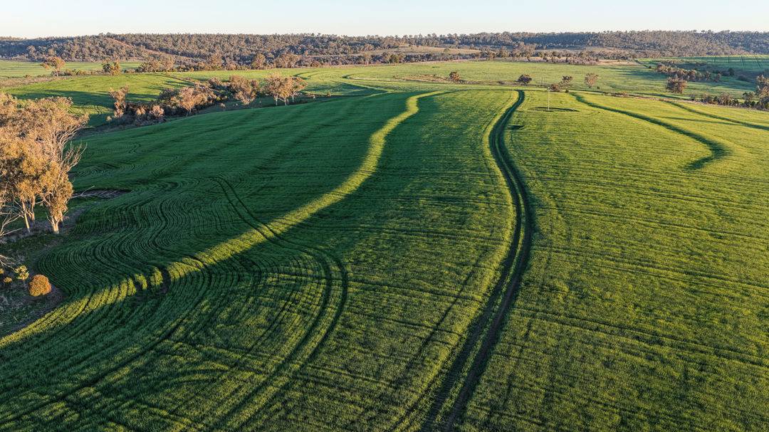 578 Innesvale Road, Warialda For Sale by Farmbuy.com - image 4