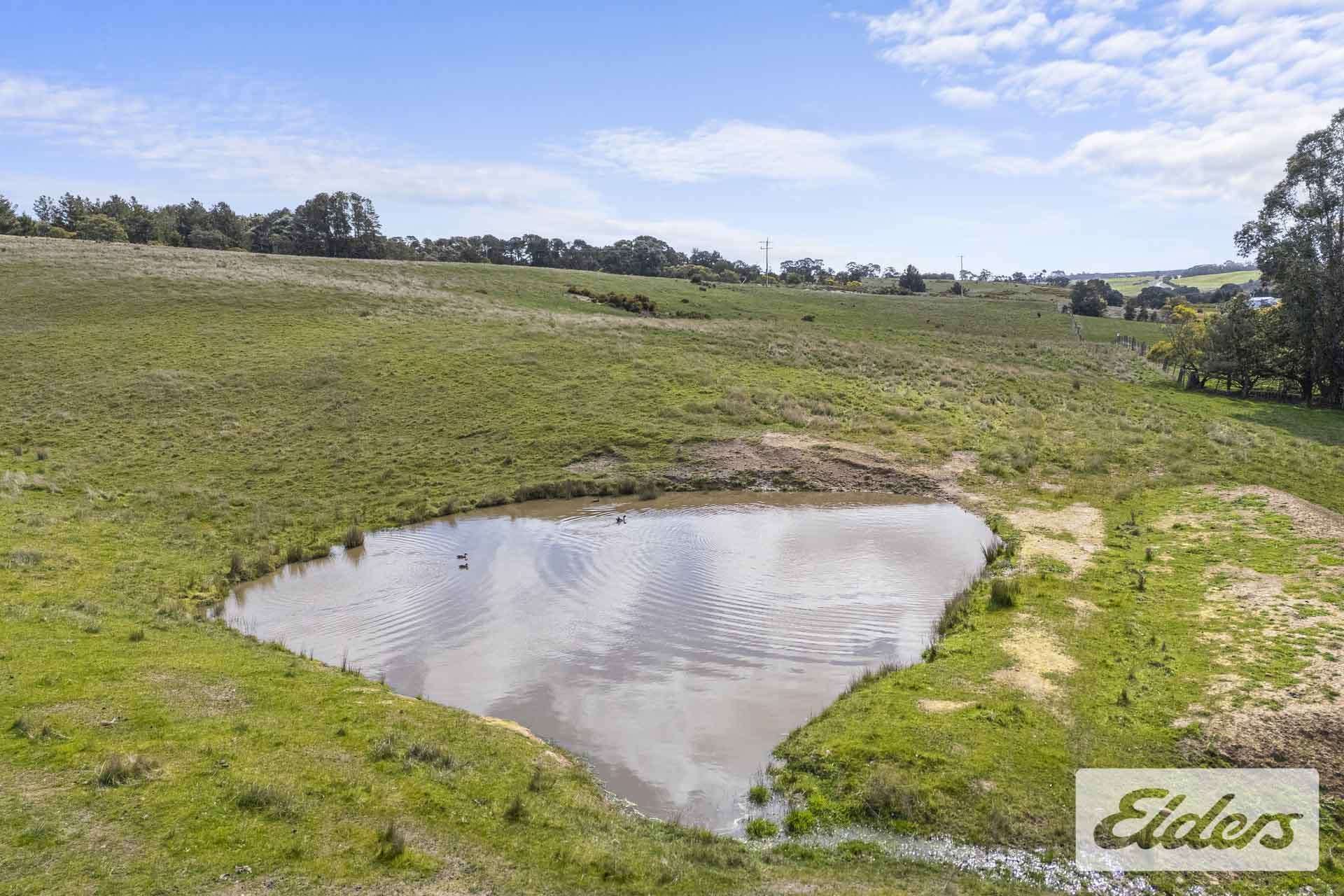 CA1 Sec 9 Beaufort-Carngham Road, Carngham For Sale by Farmbuy.com - image 4
