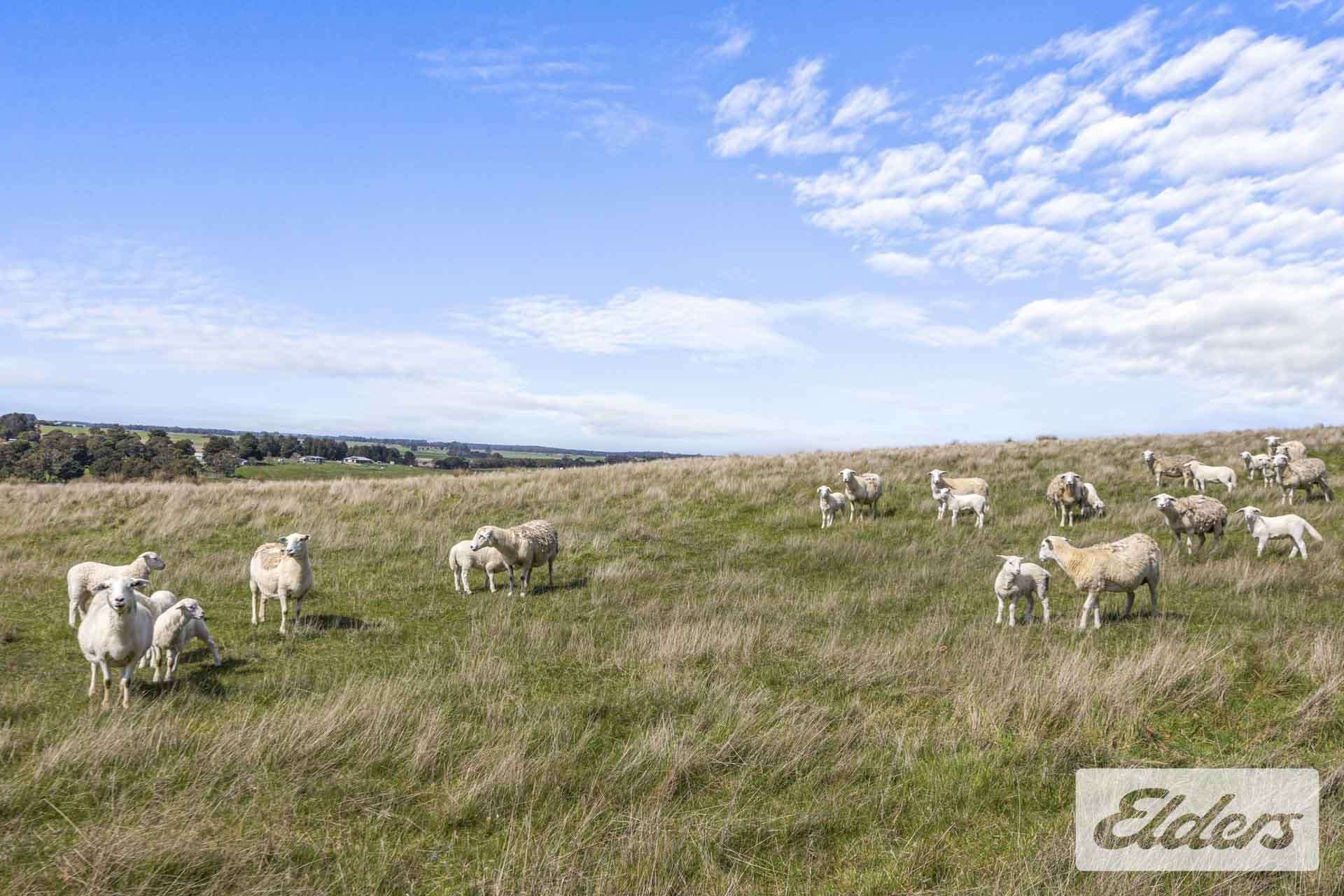 CA1 Sec 9 Beaufort-Carngham Road, Carngham For Sale by Farmbuy.com - image 11