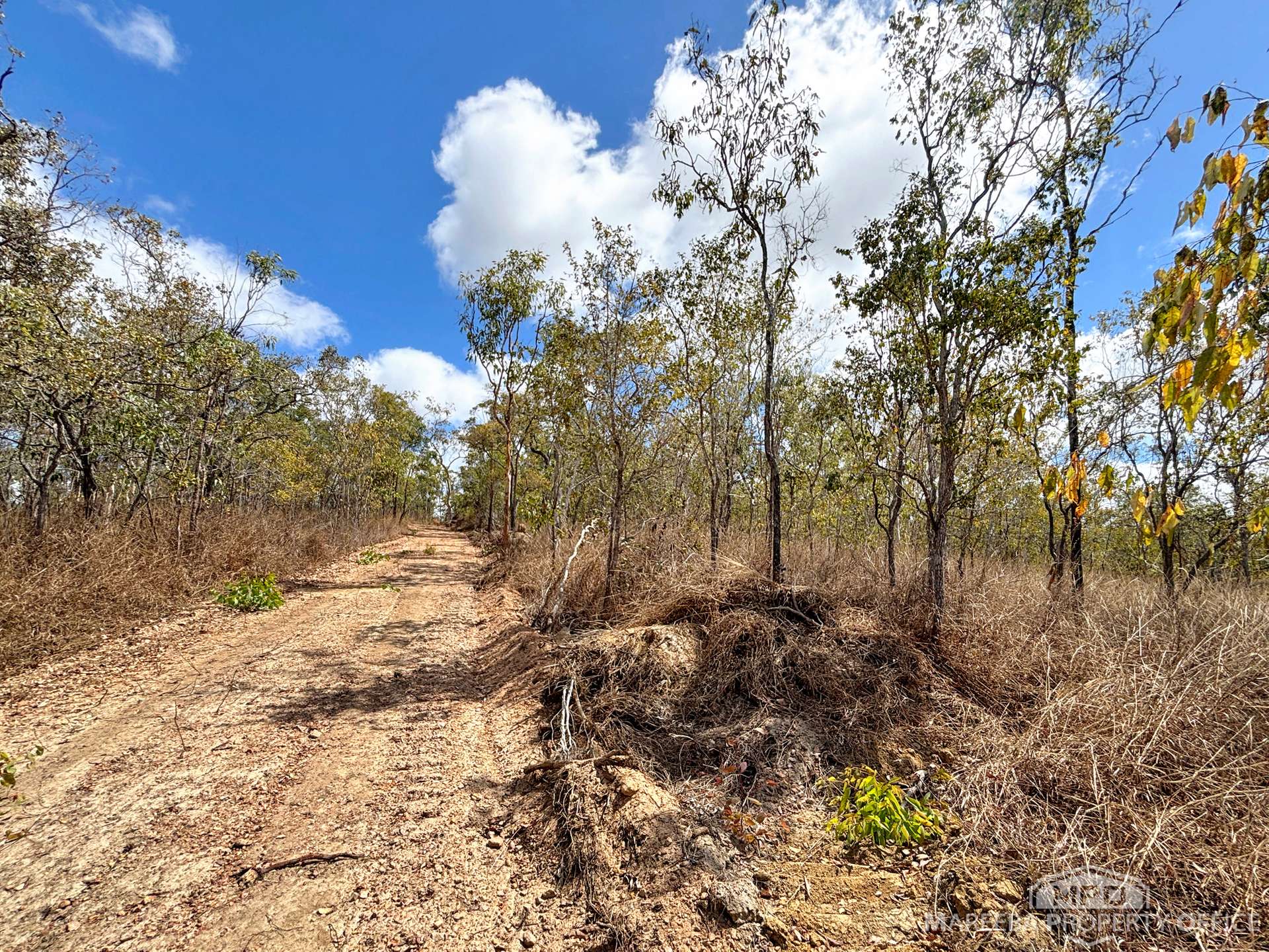 Lot 101, Lot 101 Emerald Falls Road, Mareeba For Sale by Farmbuy.com - image 4