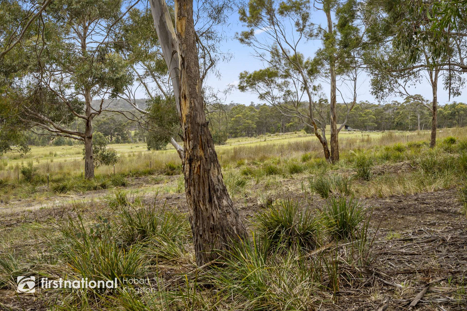 Lot 4 Bruny Island Main Road (Off Blyth Parade), Great Bay For Sale by Farmbuy.com - image 7