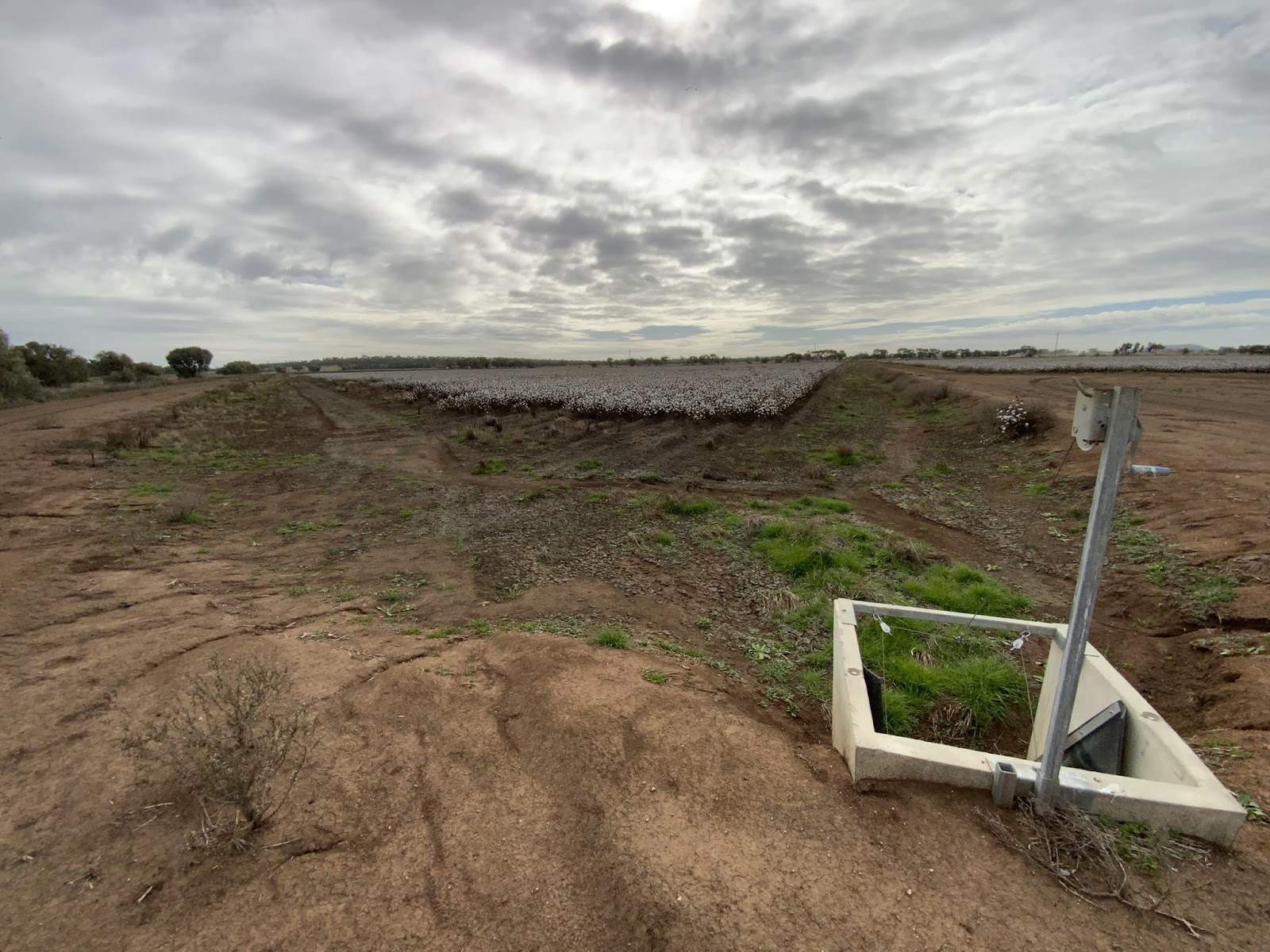Part Farm 1082, 1386 Murrami Road, Leeton For Sale by Farmbuy.com - image 17