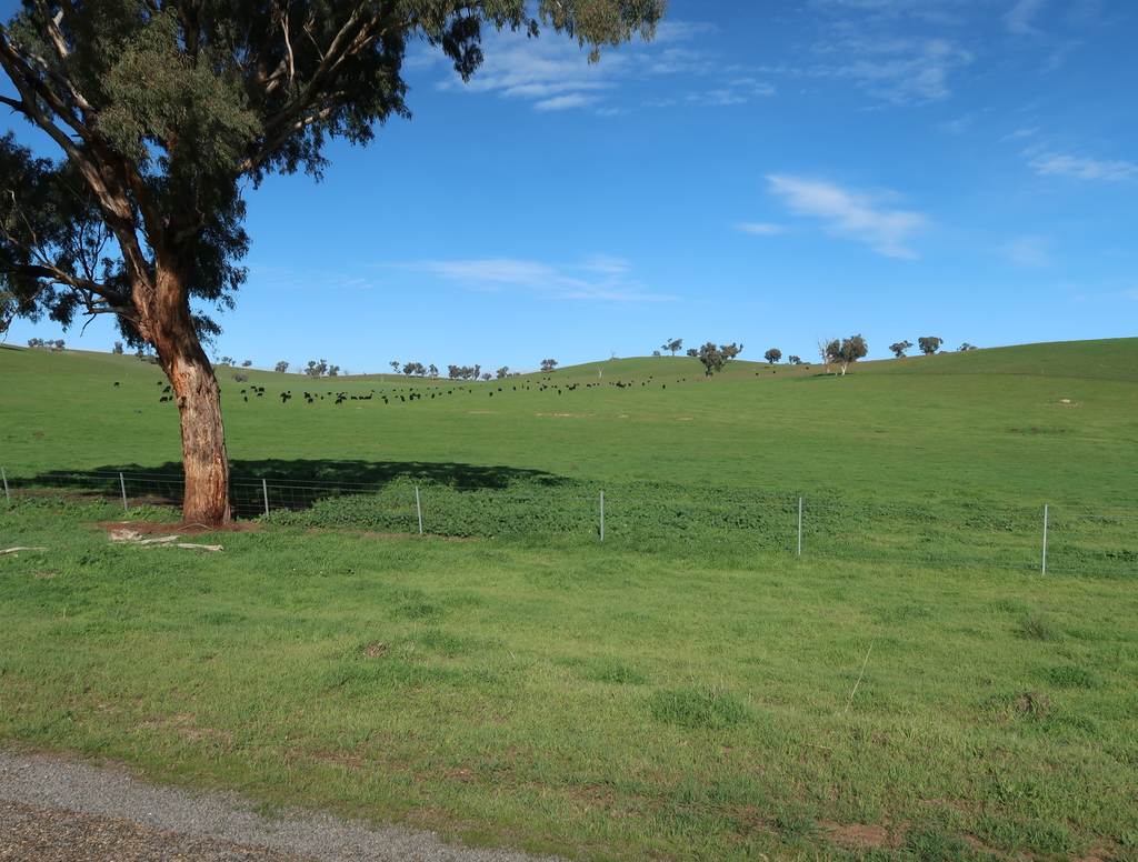 327 Wokolena Road, Wagga Wagga NSW 2650