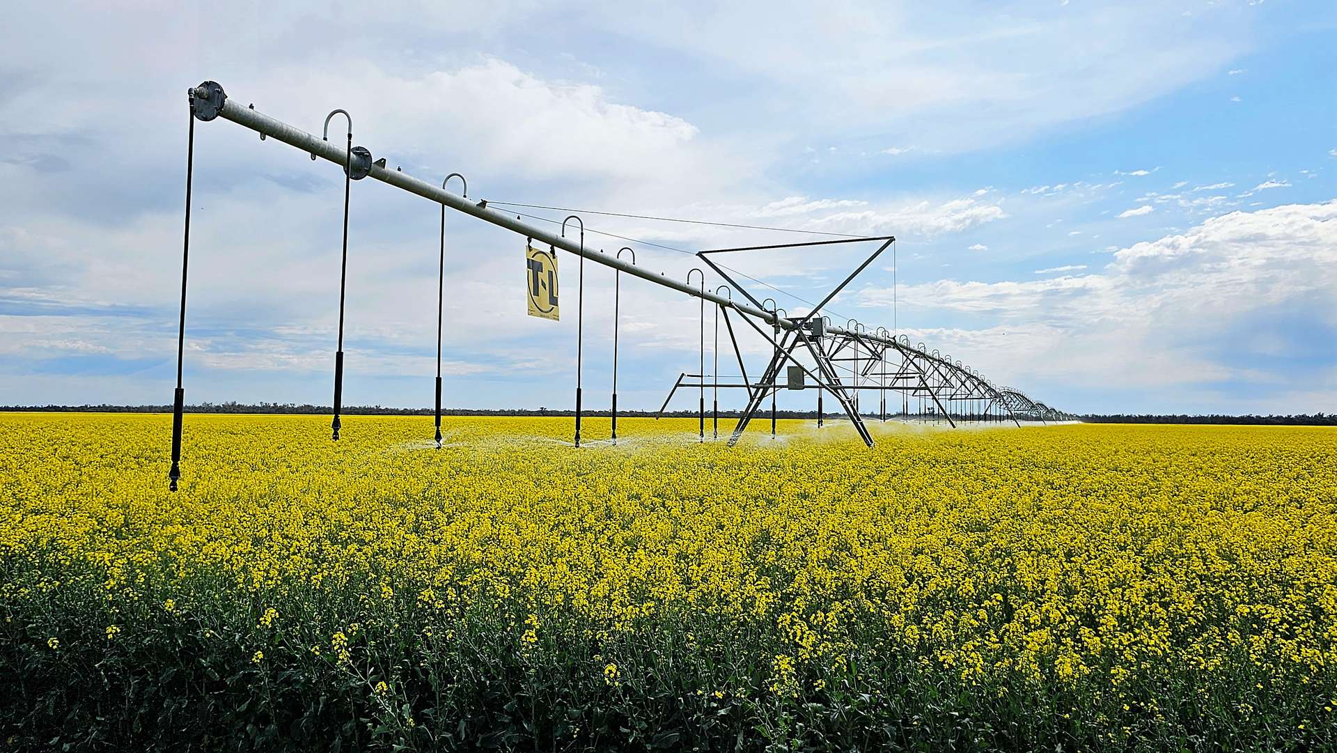 360 Rangemore Road, Deniliquin For Sale by Farmbuy.com - image 3