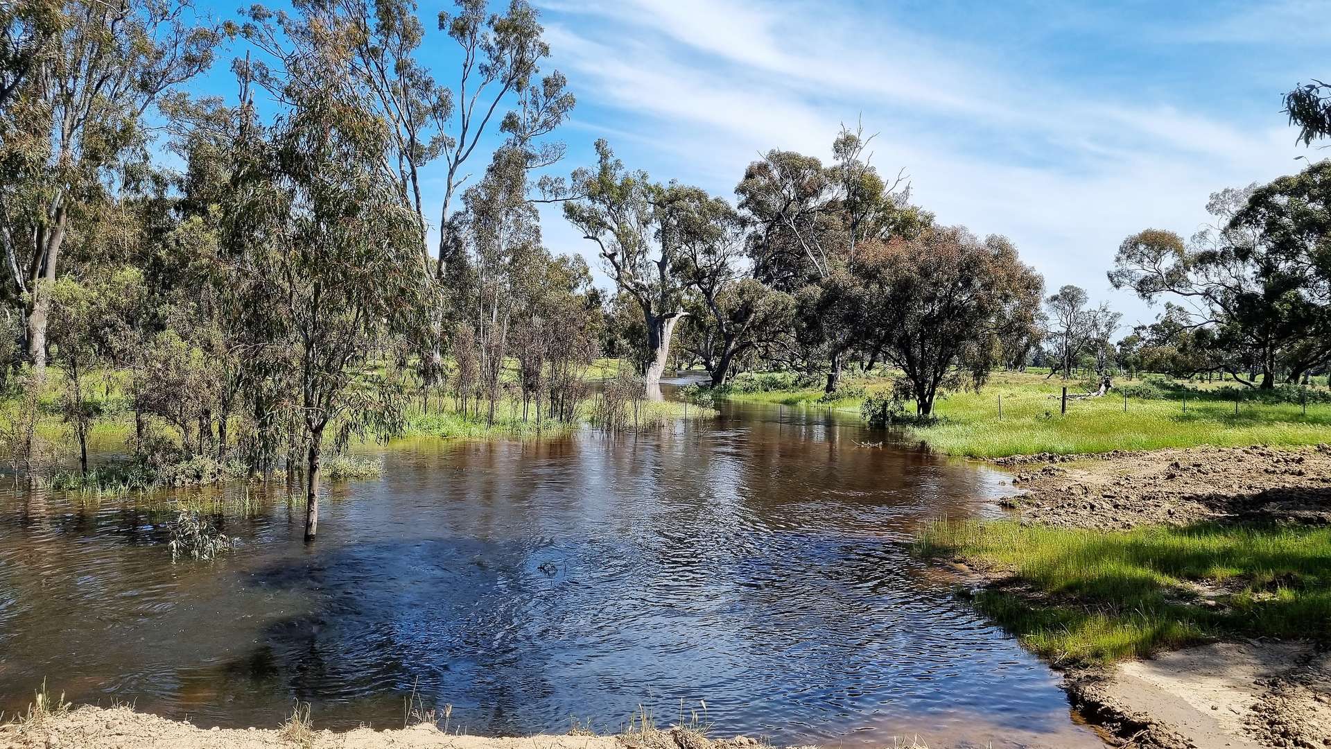 360 Rangemore Road, Deniliquin For Sale by Farmbuy.com - image 9