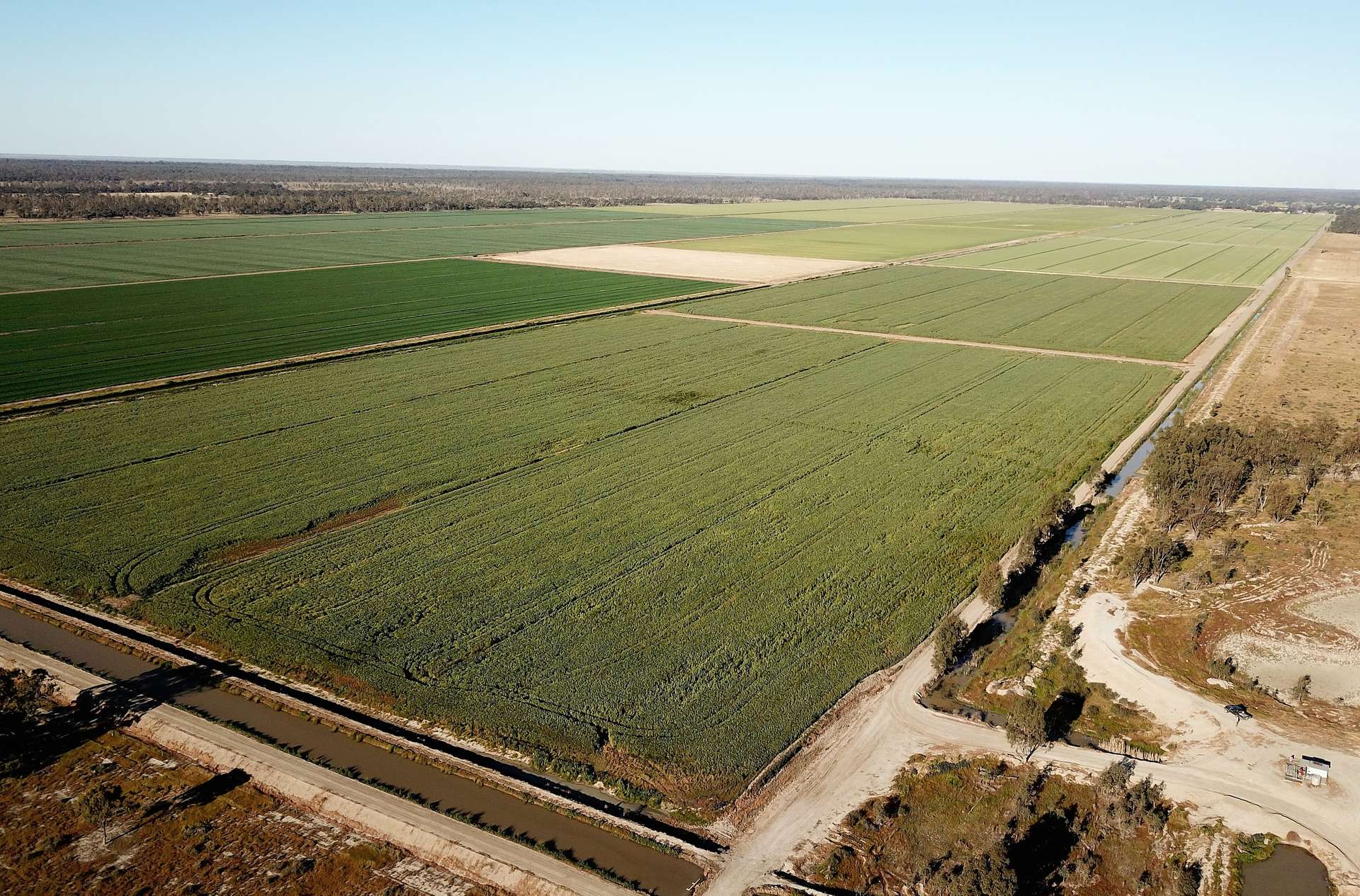 360 Rangemore Road, Deniliquin For Sale by Farmbuy.com - image 5