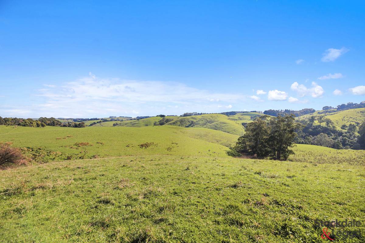 515 Clear Creek Road, Mirboo For Sale by Farmbuy.com - image 8