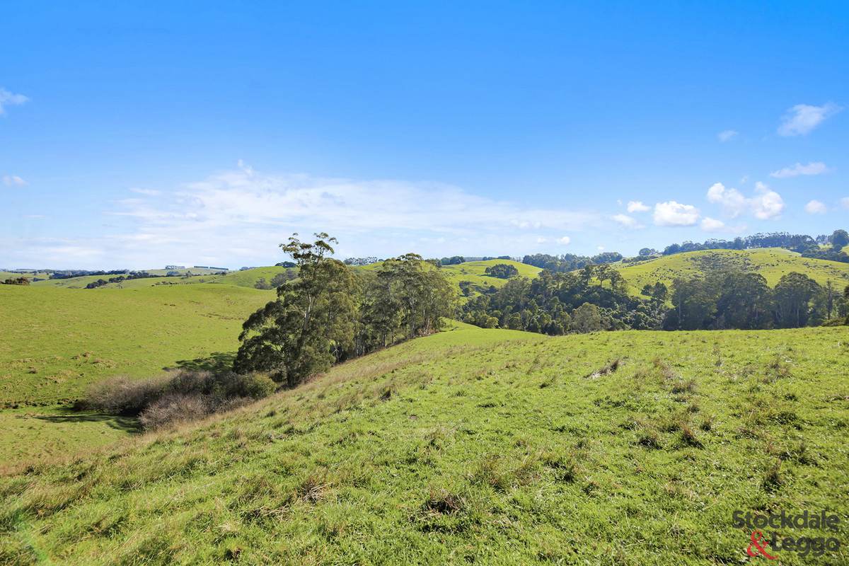 515 Clear Creek Road, Mirboo For Sale by Farmbuy.com - image 10