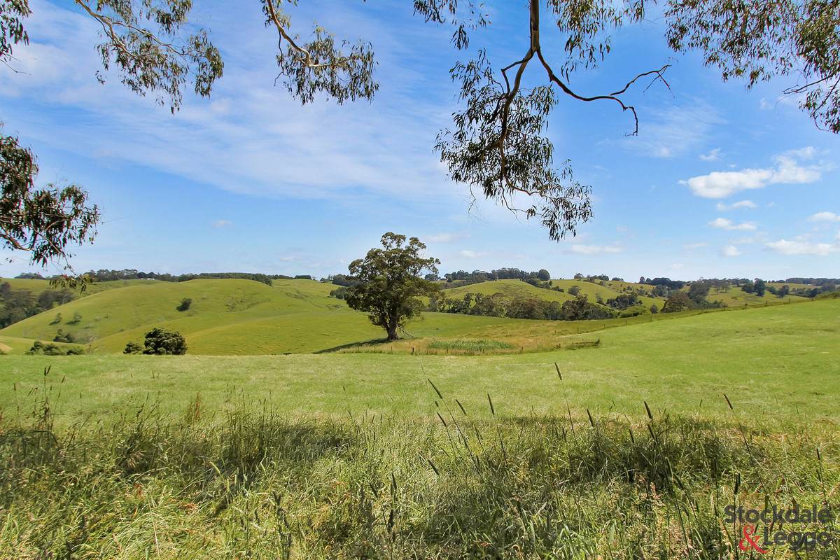 515 Clear Creek Road, Mirboo For Sale by Farmbuy.com - image 6