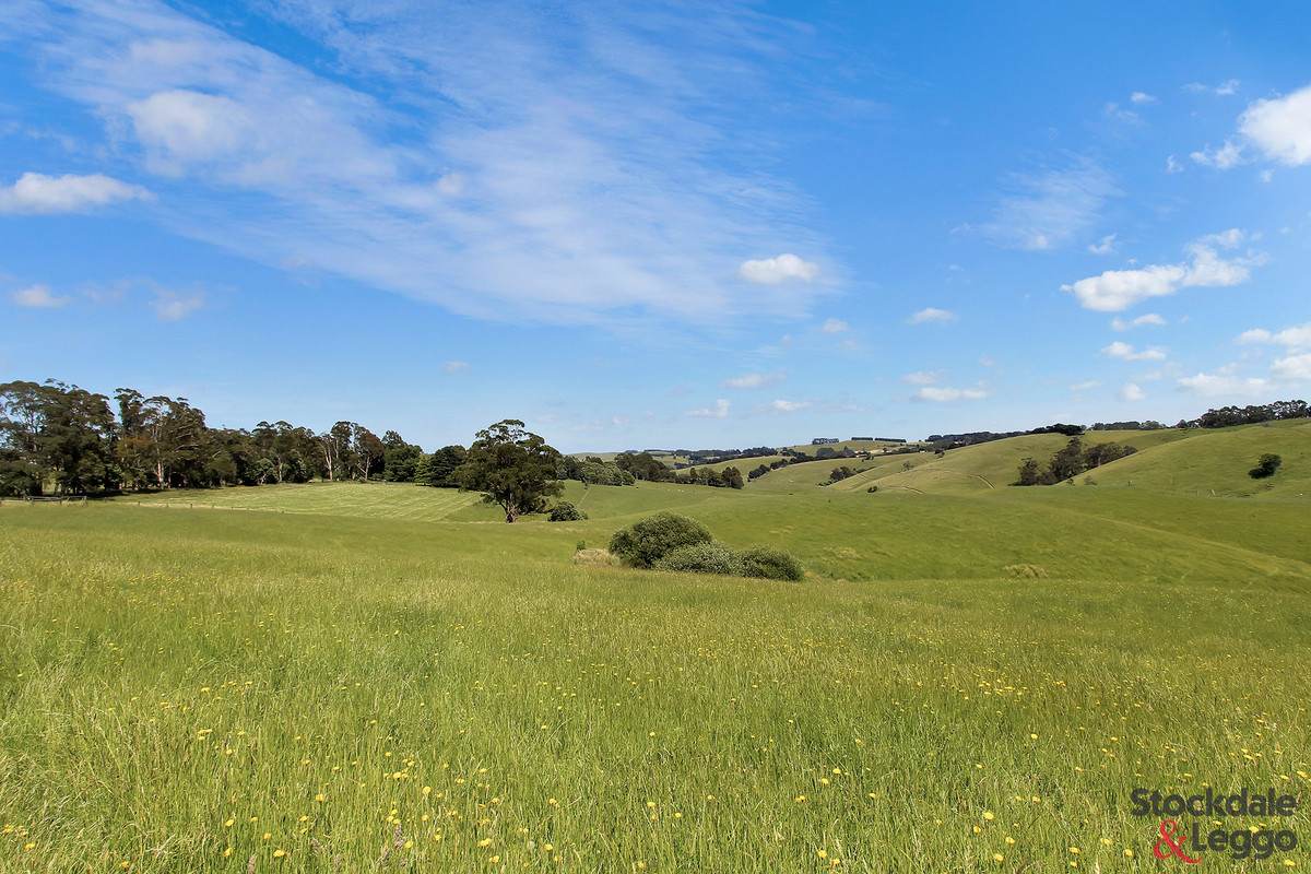 515 Clear Creek Road, Mirboo For Sale by Farmbuy.com - image 2