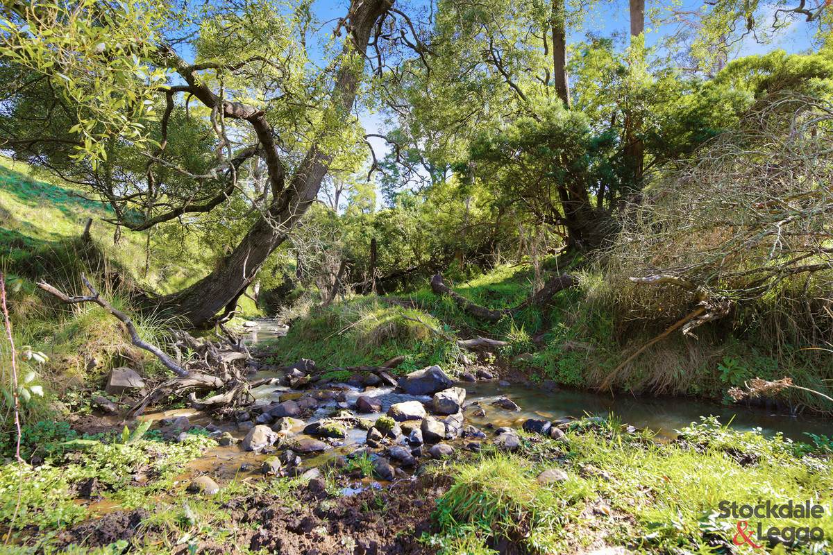 515 Clear Creek Road, Mirboo For Sale by Farmbuy.com - image 12