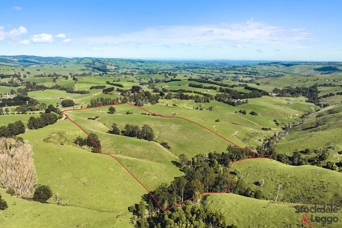515 Clear Creek Road, Mirboo For Sale by Farmbuy.com - image 15