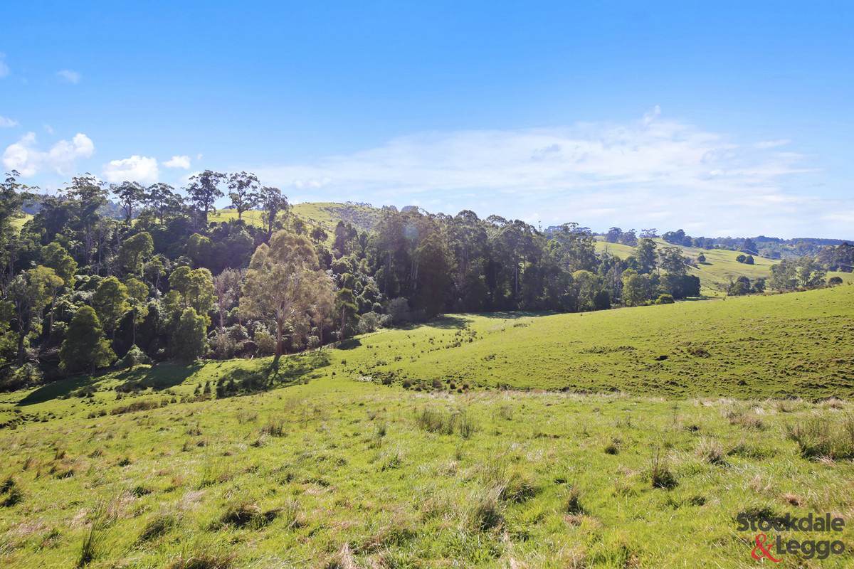 515 Clear Creek Road, Mirboo For Sale by Farmbuy.com - image 11