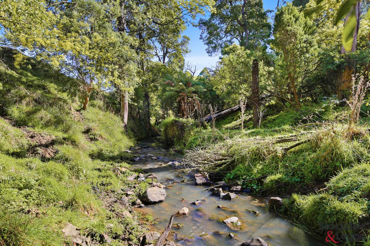 515 Clear Creek Road, Mirboo For Sale by Farmbuy.com - image 13
