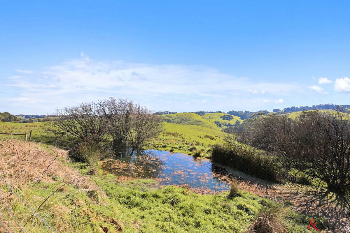 515 Clear Creek Road, Mirboo For Sale by Farmbuy.com - image 7