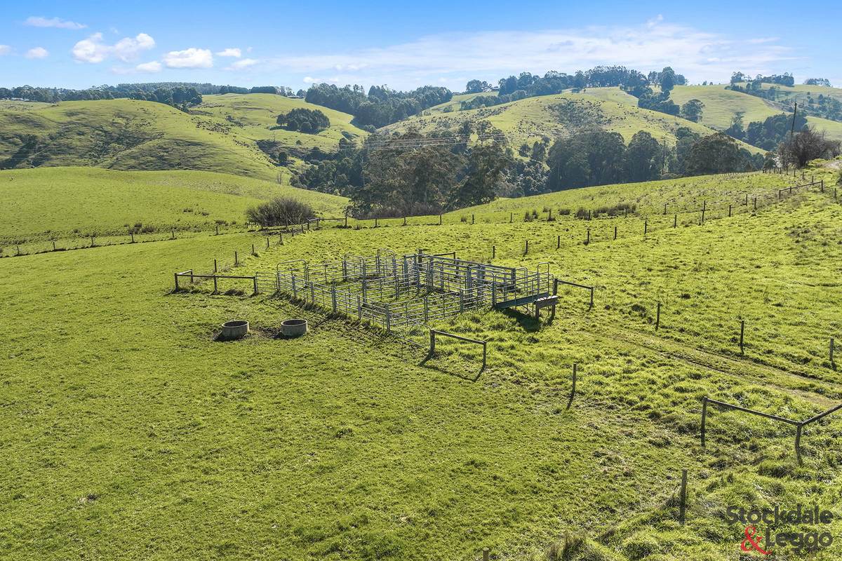 515 Clear Creek Road, Mirboo For Sale by Farmbuy.com - image 5