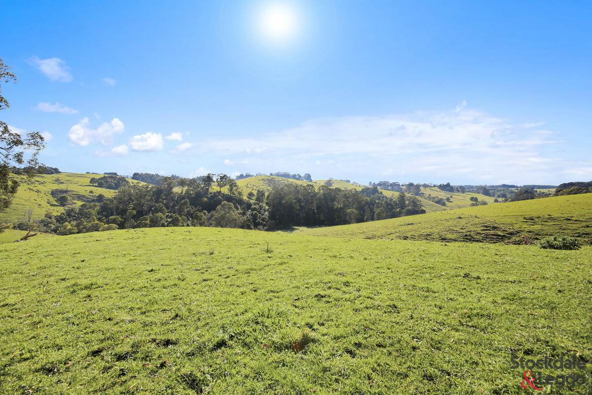 515 Clear Creek Road, Mirboo For Sale by Farmbuy.com - image 9