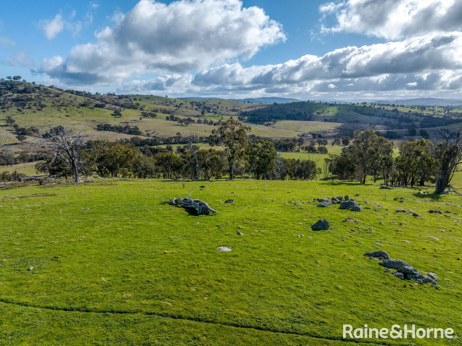 2306 Bigga Road, Bigga For Sale by Farmbuy.com - image 9