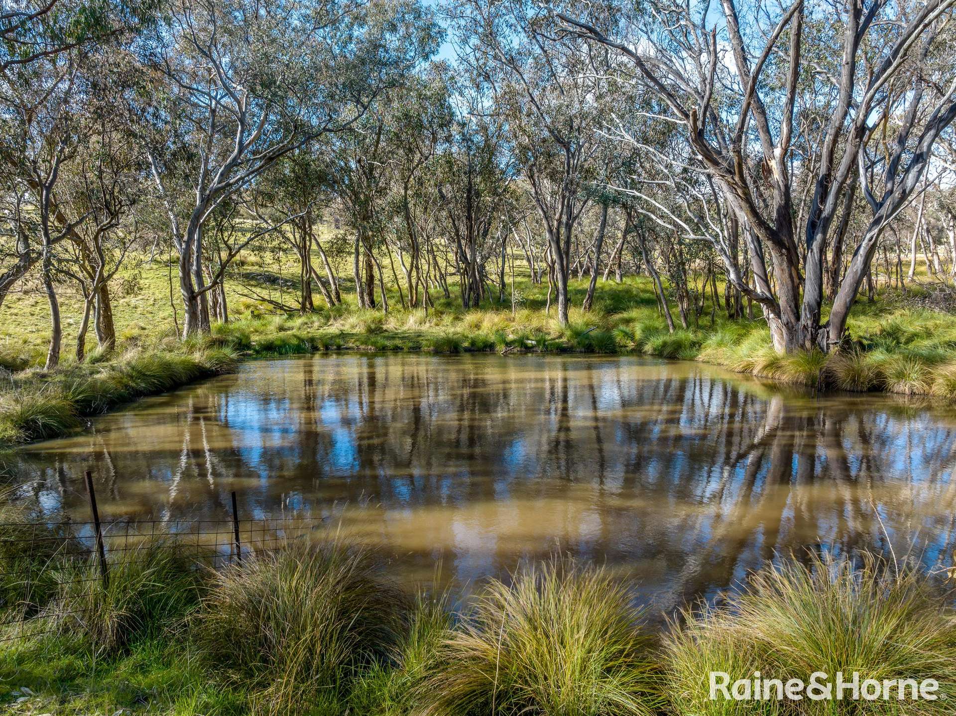 2306 Bigga Road, Bigga For Sale by Farmbuy.com - image 12