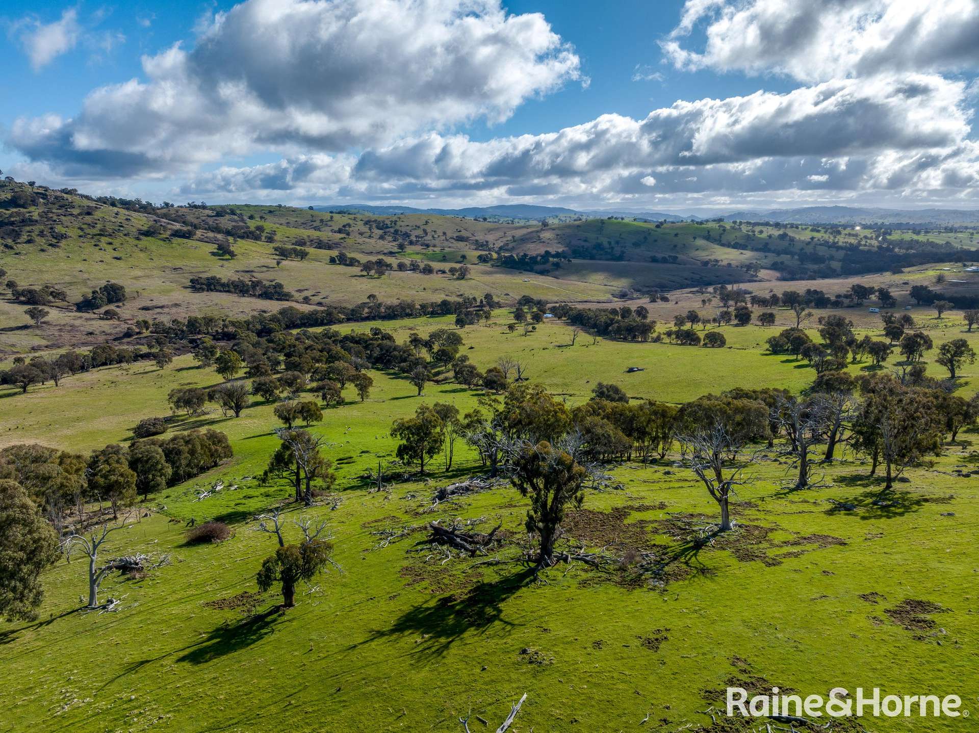 2306 Bigga Road, Bigga For Sale by Farmbuy.com - image 8