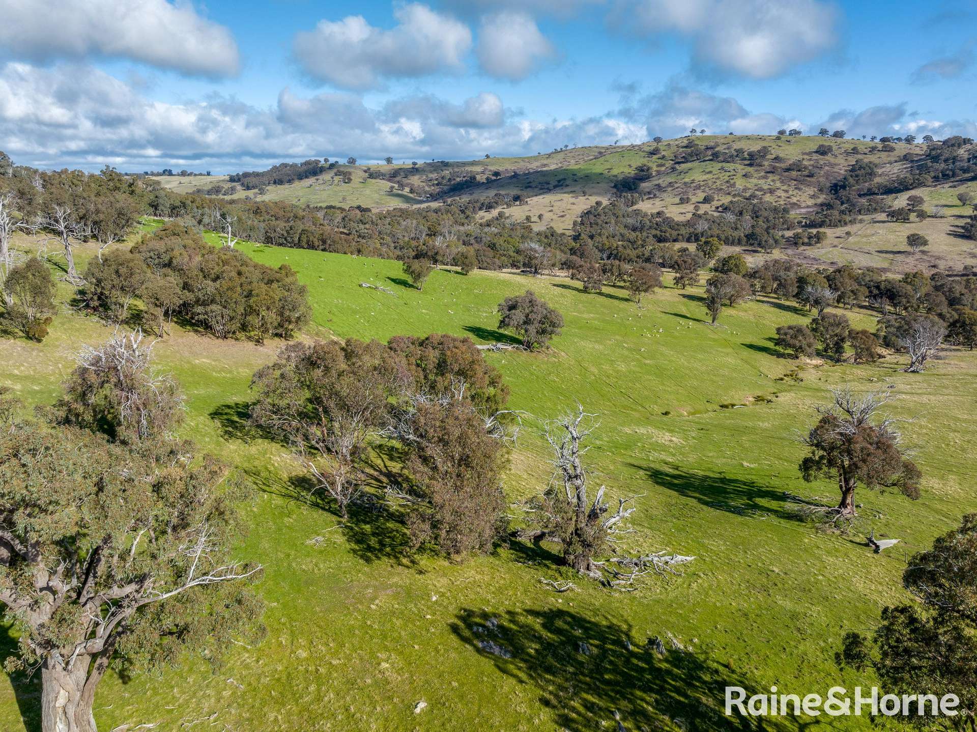 2306 Bigga Road, Bigga For Sale by Farmbuy.com - image 14