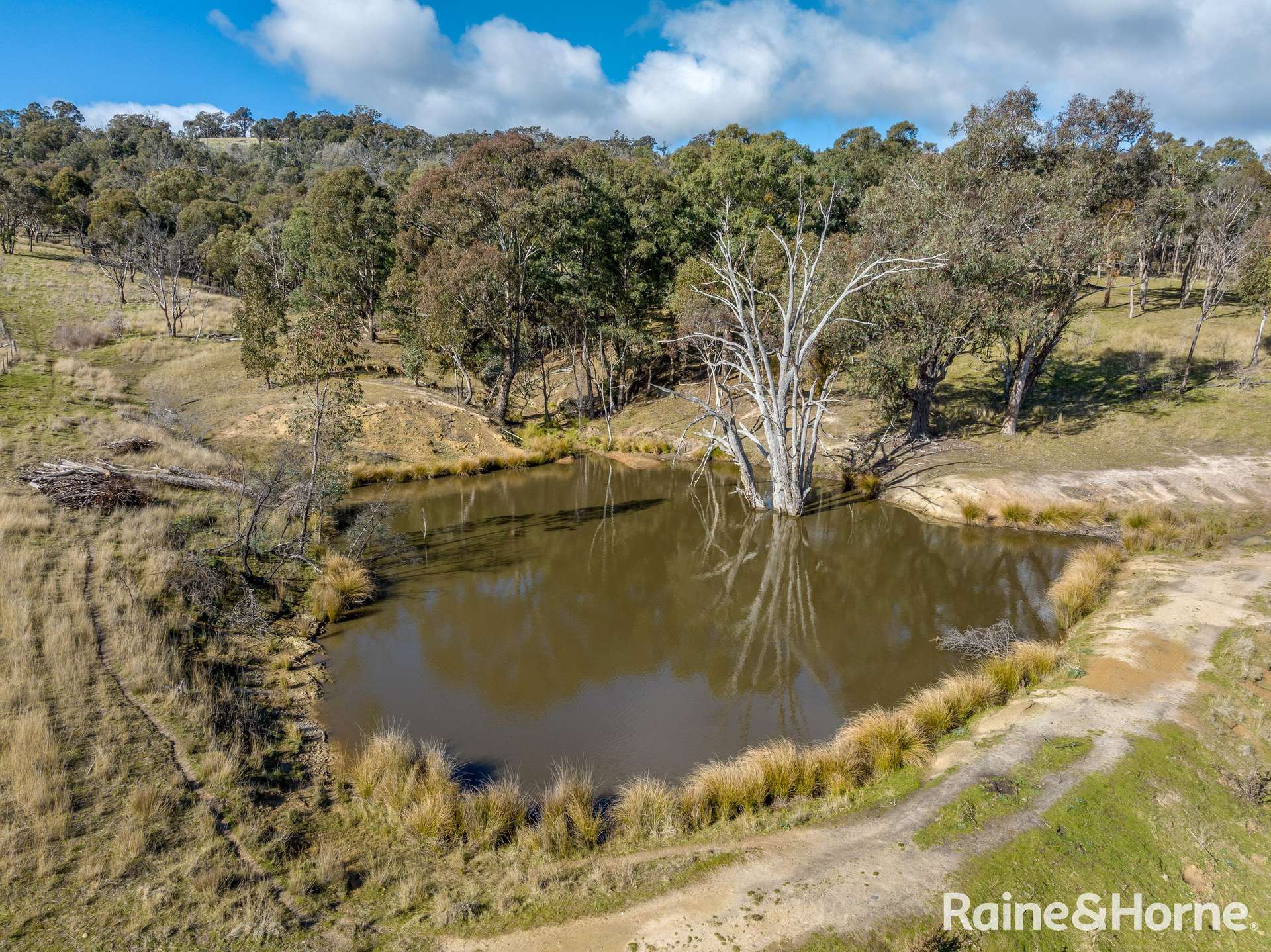 2306 Bigga Road, Bigga For Sale by Farmbuy.com - image 13