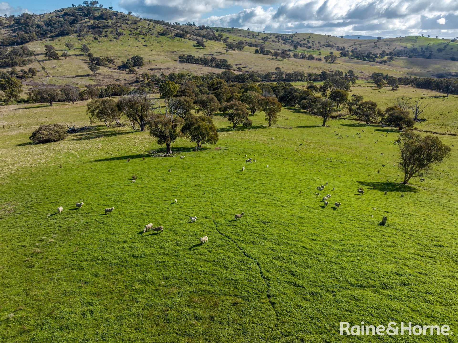 2306 Bigga Road, Bigga For Sale by Farmbuy.com - image 4