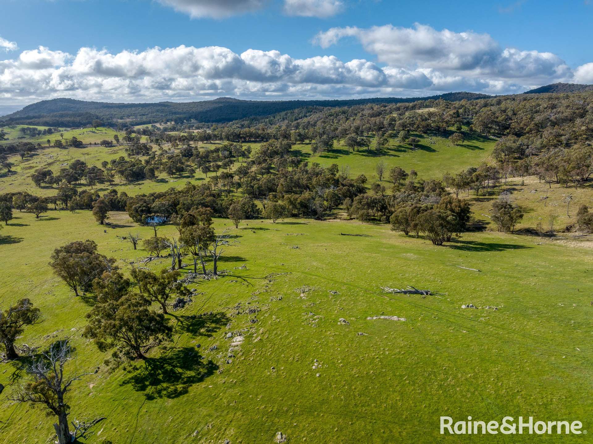 2306 Bigga Road, Bigga For Sale by Farmbuy.com - image 10