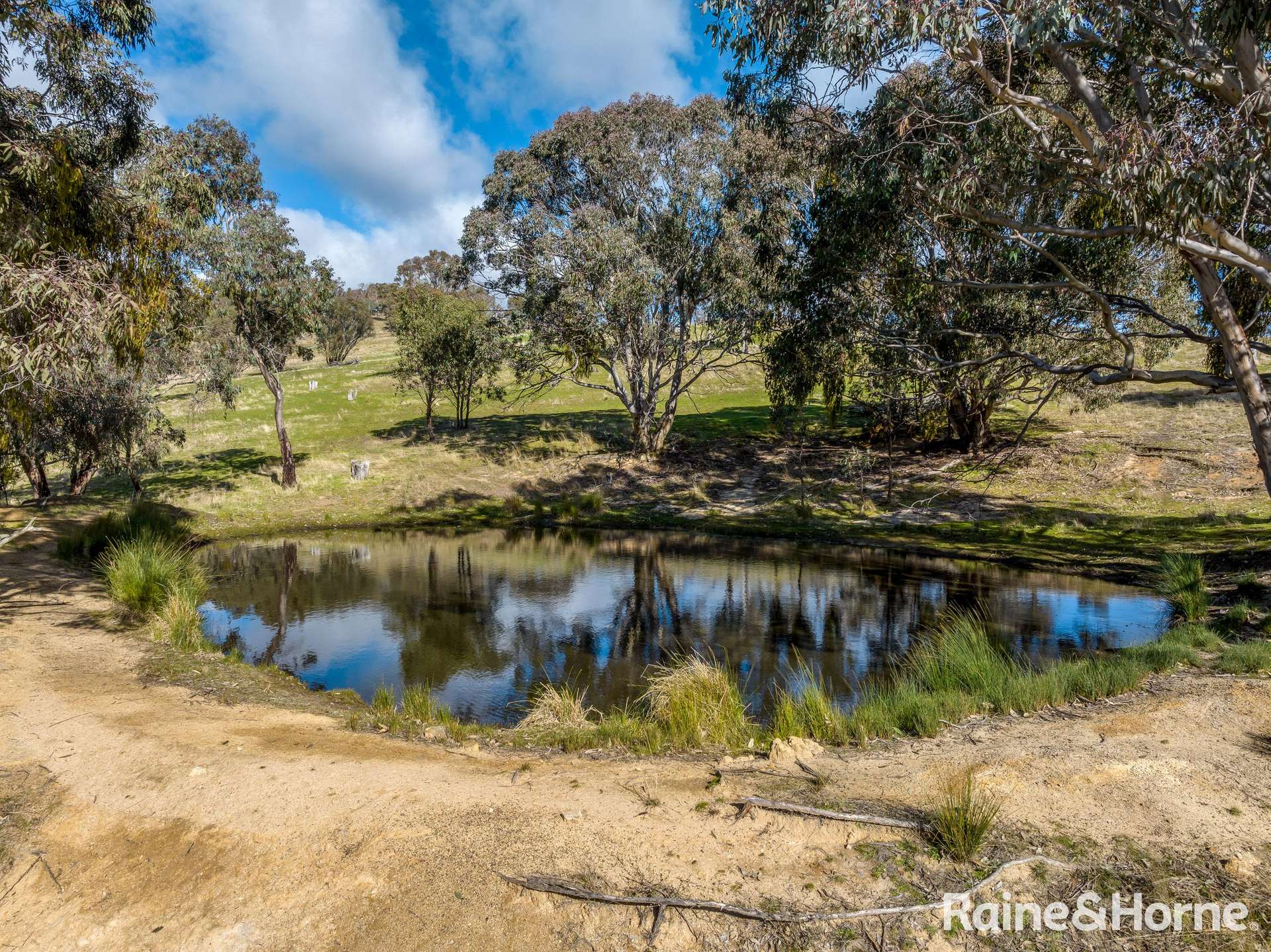 2306 Bigga Road, Bigga For Sale by Farmbuy.com - image 15