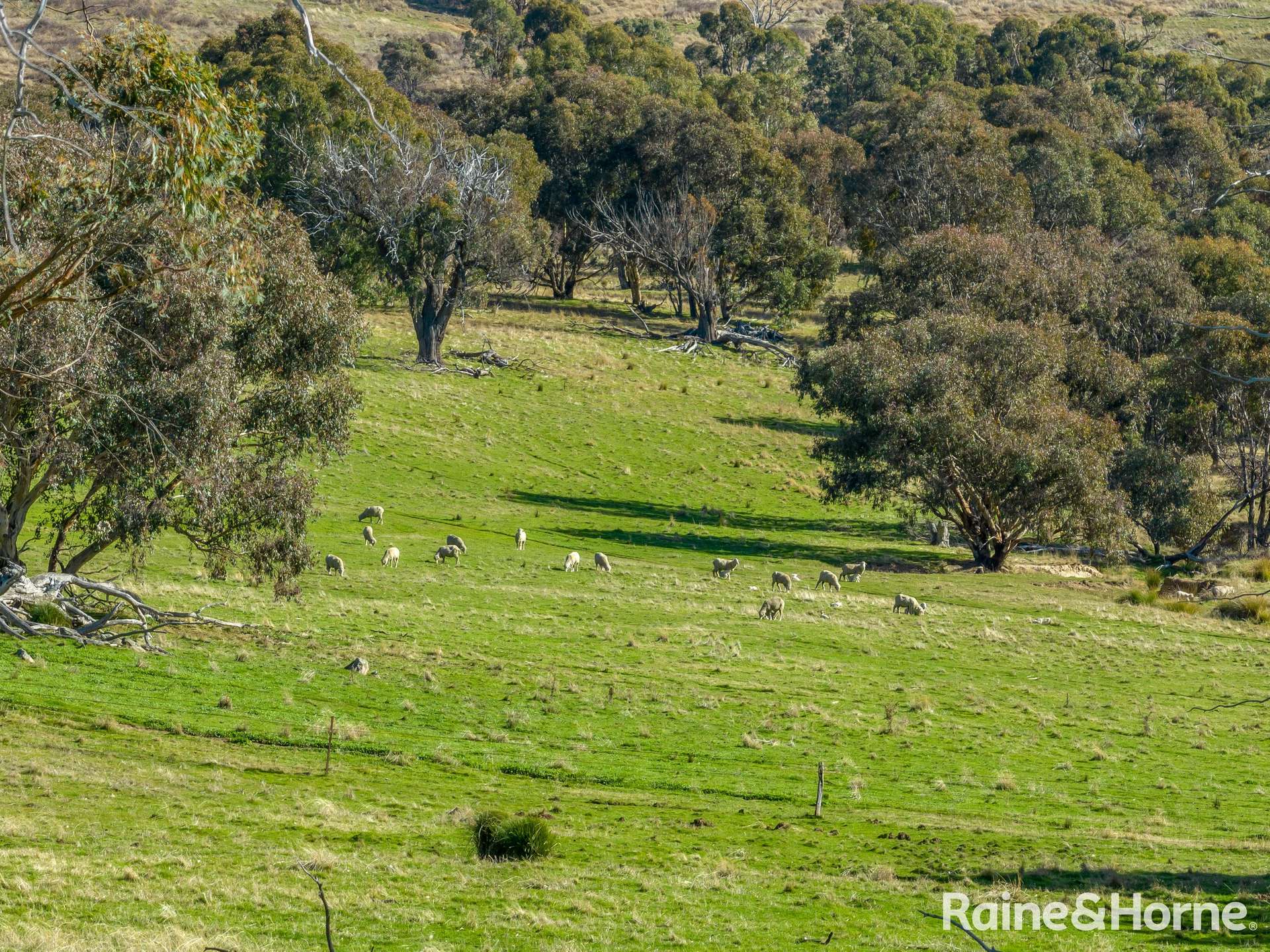 2306 Bigga Road, Bigga For Sale by Farmbuy.com - image 5
