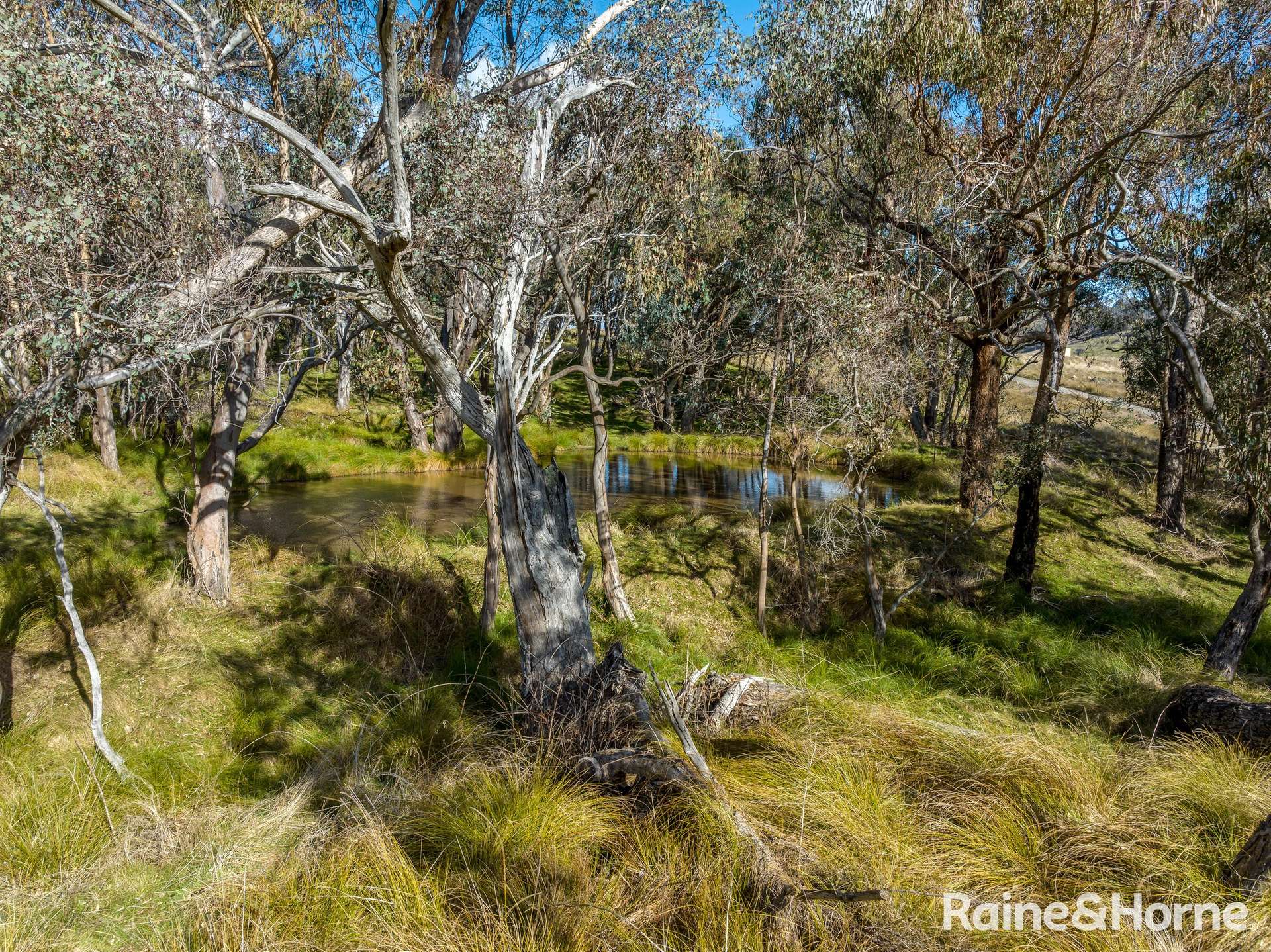 2306 Bigga Road, Bigga For Sale by Farmbuy.com - image 11