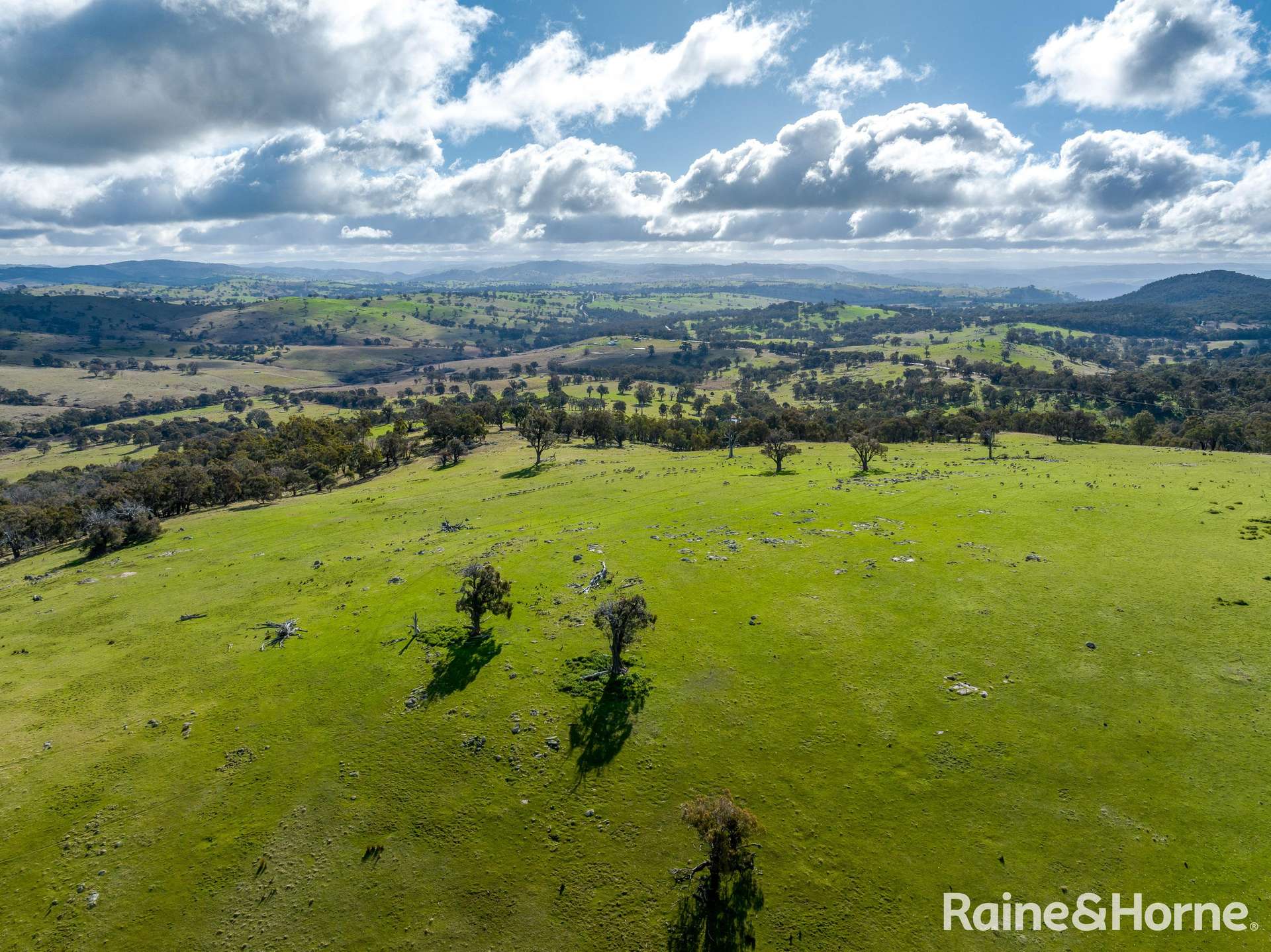 2306 Bigga Road, Bigga For Sale by Farmbuy.com - image 6