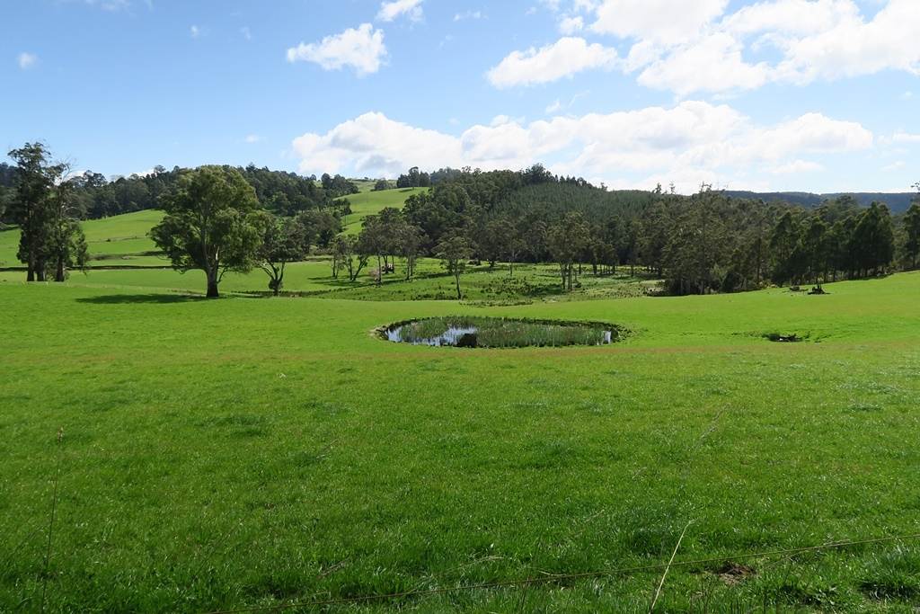 34 Watts Road, Paradise Sold by Farmbuy.com - image 16