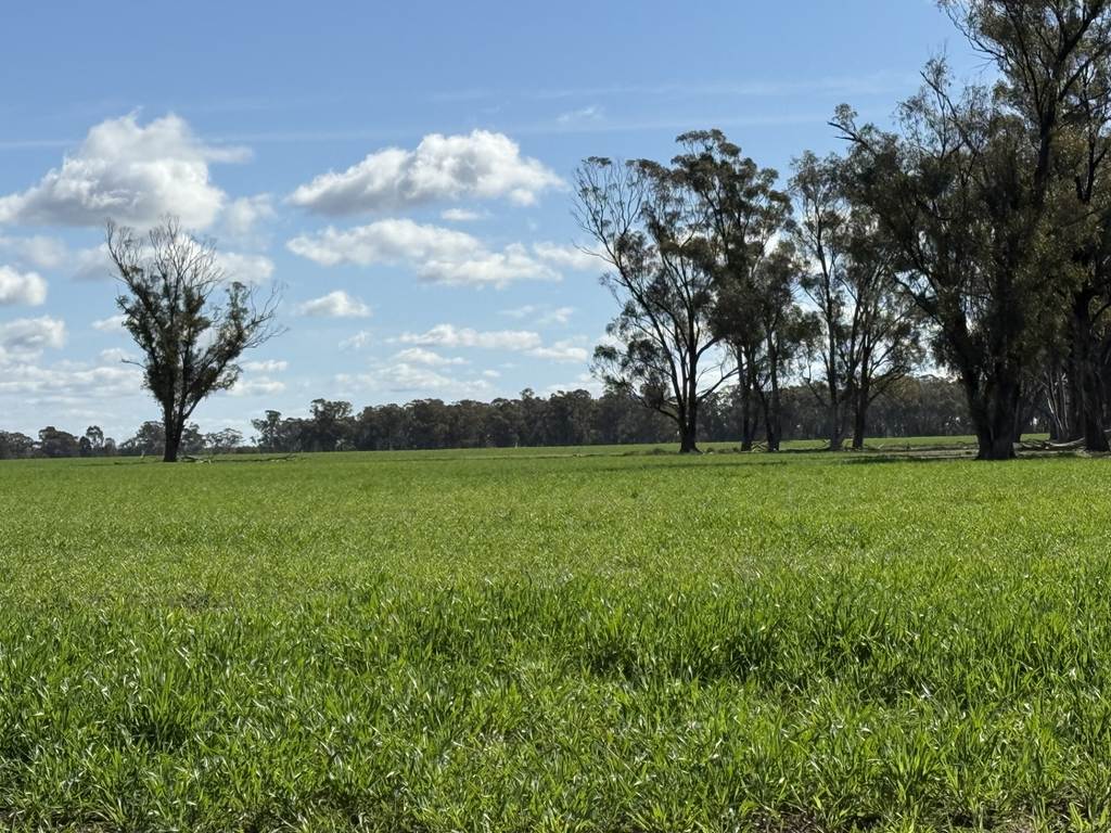 987 Boorr Hill Road, Parkes NSW 2870