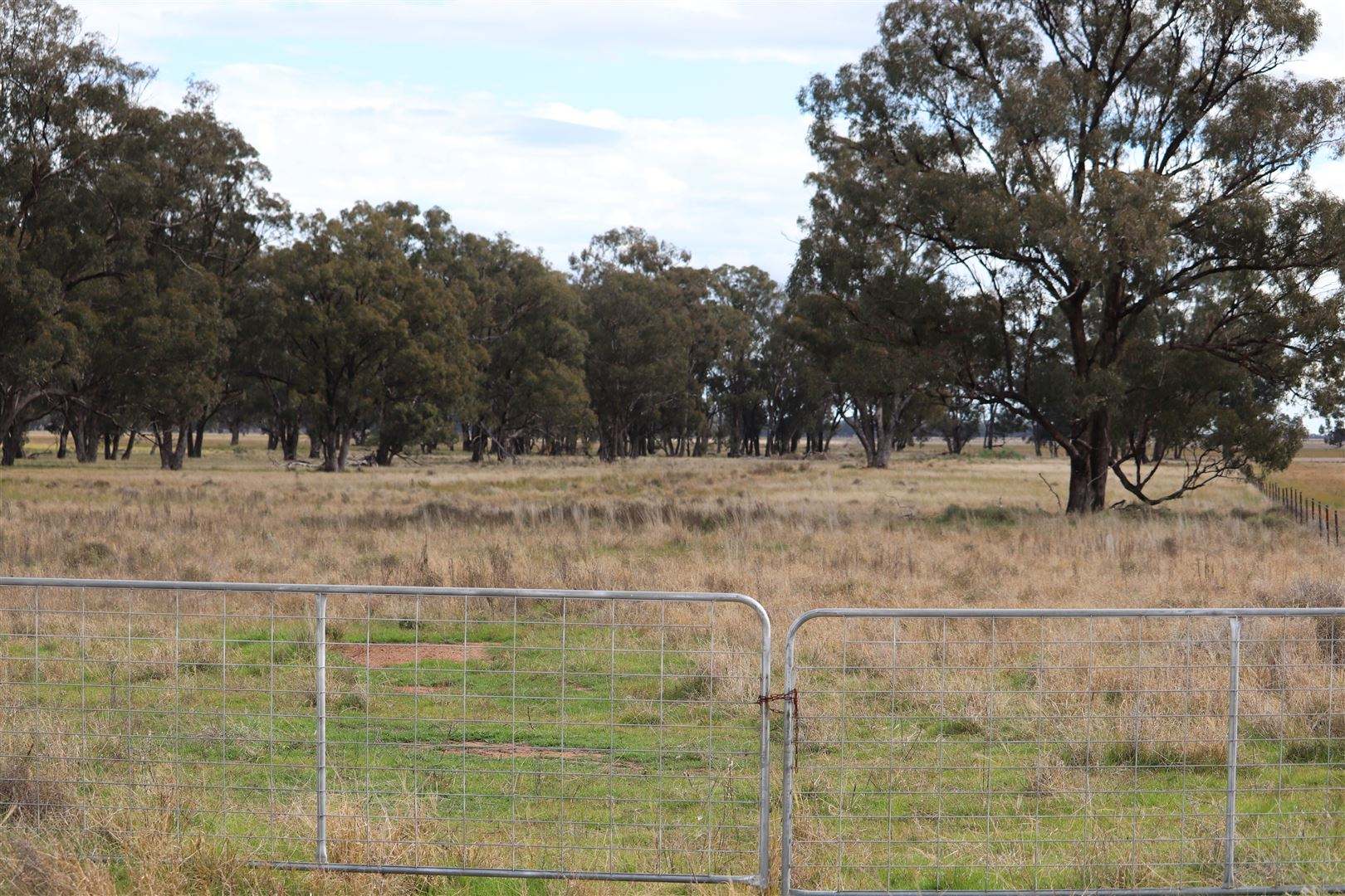 987 Boorr Hill Road, Parkes For Sale by Farmbuy.com - image 26