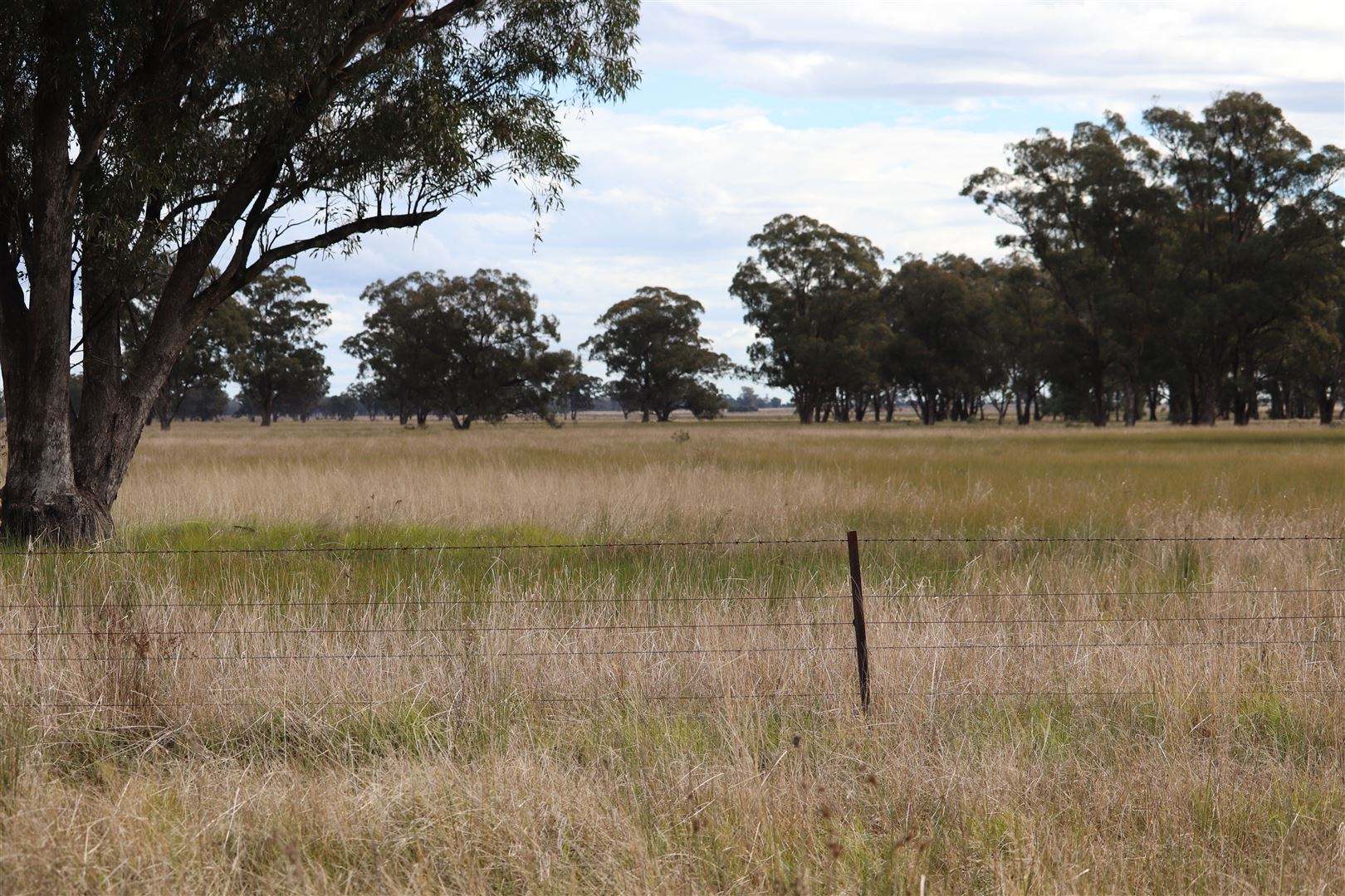 987 Boorr Hill Road, Parkes For Sale by Farmbuy.com - image 30
